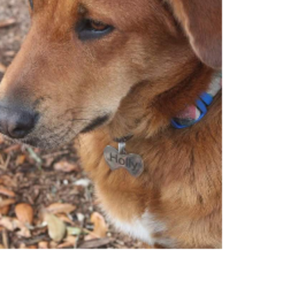 Croppedmessageimage383