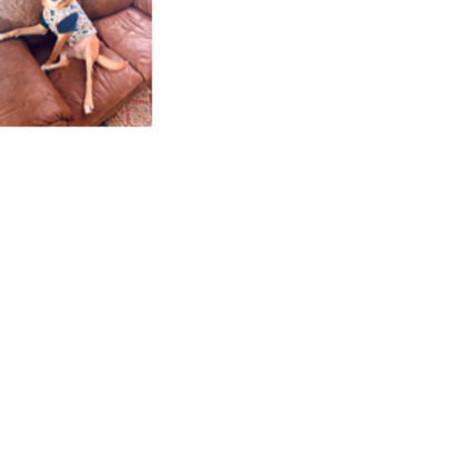 Croppedmessageimage139