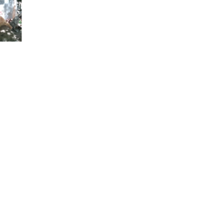 Croppedmessageimage36