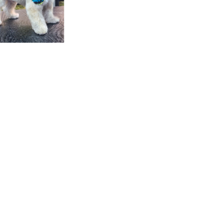 Croppedmessageimage183
