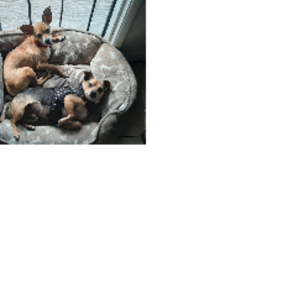 Croppedmessageimage978