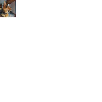 Croppedmessageimage247