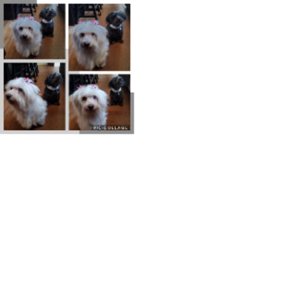 Croppedmessageimage629