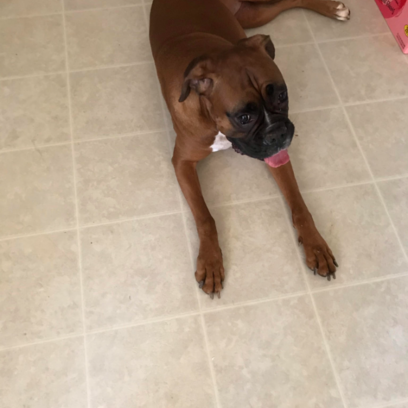 Croppedmessageimage152