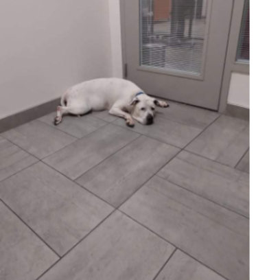 Croppedmessageimage28