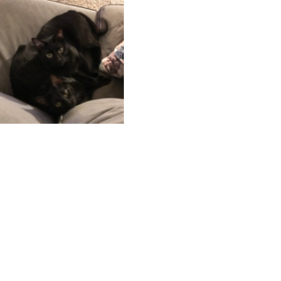 Croppedmessageimage31