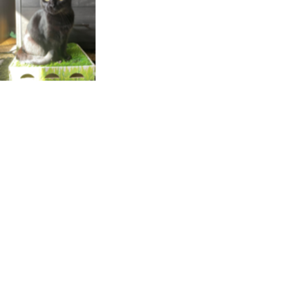 Croppedmessageimage676