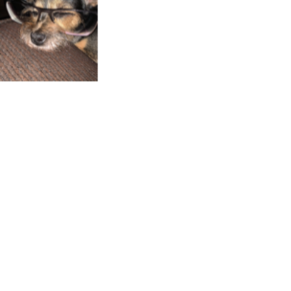 Croppedmessageimage281