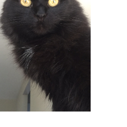 Croppedmessageimage449