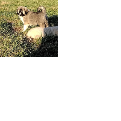 Croppedmessageimage492