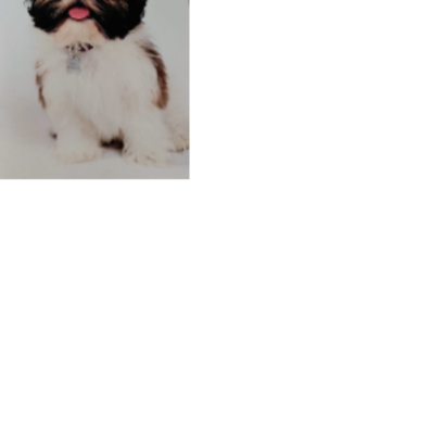 Croppedmessageimage616