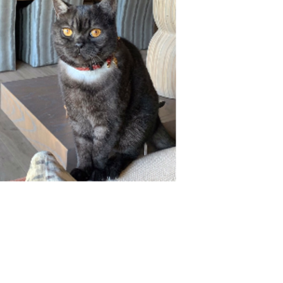 Croppedmessageimage978