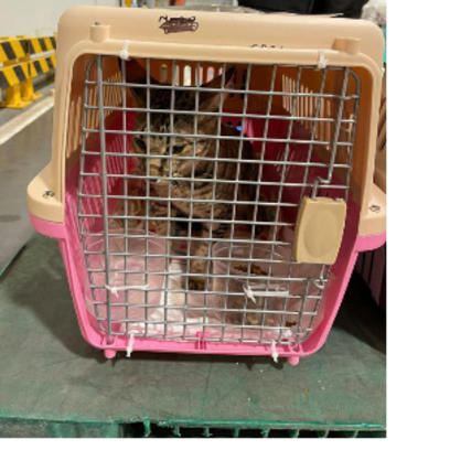 Croppedmessageimage53