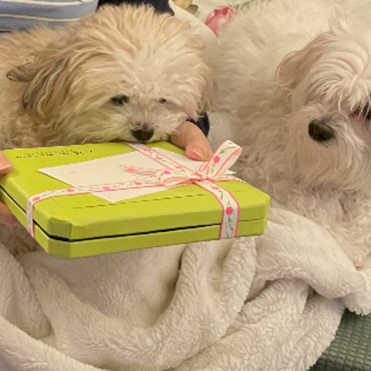 Croppedmessageimage876