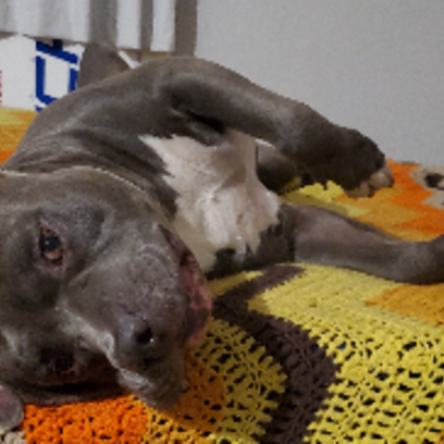 Croppedmessageimage470