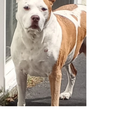 Croppedmessageimage795