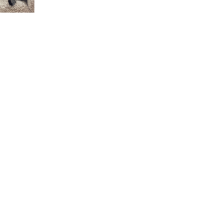 Croppedmessageimage81