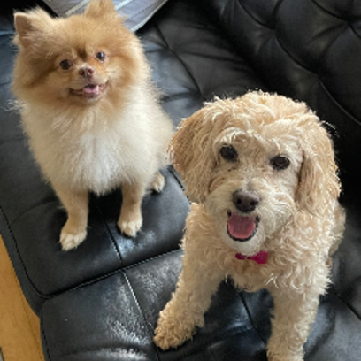 Croppedmessageimage318