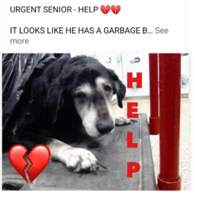 Croppedmessageimage287