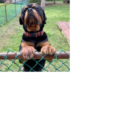 Croppedmessageimage127