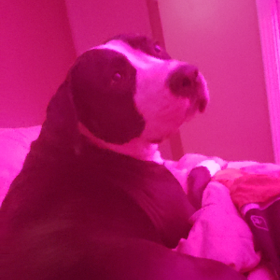 Croppedmessageimage117