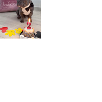 Croppedmessageimage569