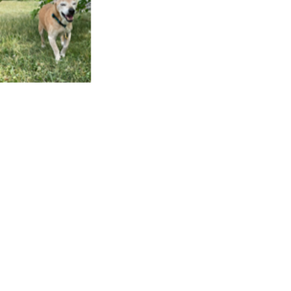 Croppedmessageimage893